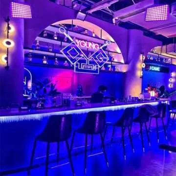 Indmird 2 Pack 50W Black Lights, Blacklight Flood Light with Plug and Switch,for Glow Party, Halloween, Fluorescent Poster, Body Paint