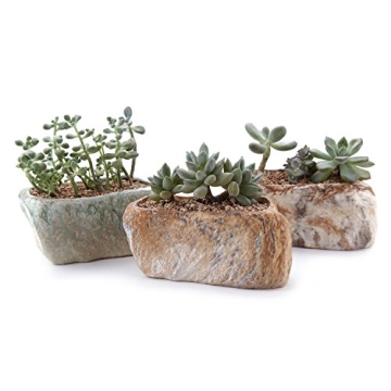 T4U 5.5 Inch Ceramic Succulent Pot Planter Set of 3 – Unique Stone Shape Window Box for Home Decor...