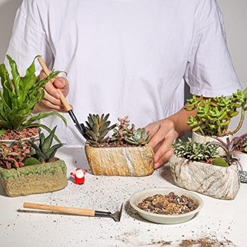 T4U Ceramic Succulent Planter Set for Home or Office