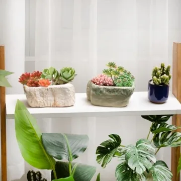 T4U Ceramic Succulent Planter Set for Home or Office