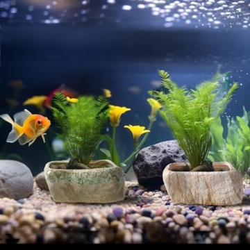 T4U Ceramic Succulent Planter Set for Home or Office