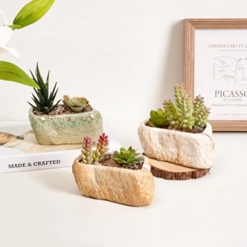T4U Ceramic Succulent Planter Set for Home or Office
