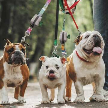 Tuff Mutt Dog Poop Bag Holder for Leash, Lightweight Dispenser for Pet Waste Bags, Easy Cleanup Accessory for All Leashes, Includes Bags