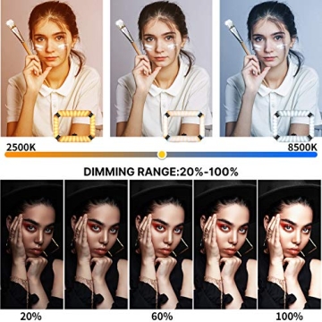 ULANZI Video Rig with Adjustable Ring Light for Creators