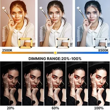 ULANZI Video Rig with Adjustable Ring Light for Creators