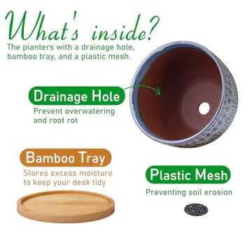 G EPGardening Ceramic Plant Pots with Drainage and Saucers