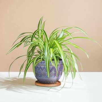 G EPGardening Ceramic Plant Pots with Drainage and Saucers