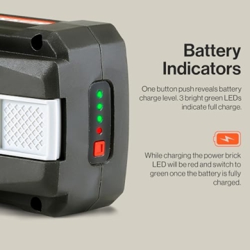 SuperHandy 48V Lithium-Ion Battery for Moblility Scooters and Tools