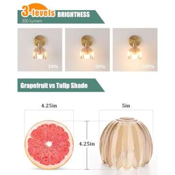 Shenmoyl Vintage Wall Sconce with Rechargeable Bulb