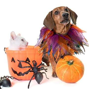 cyeollo 2 Pack Halloween Dog Collar Elastic Fancy Holiday Accessory for Dogs and Cats Pet Costume for Halloween Party