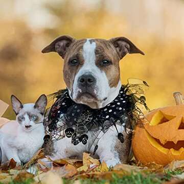 cyeollo 2 Pack Halloween Dog Collar Elastic Fancy Holiday Accessory for Dogs and Cats Pet Costume for Halloween Party