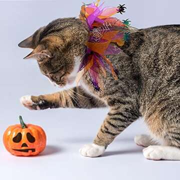 cyeollo 2 Pack Halloween Dog Collar Elastic Fancy Holiday Accessory for Dogs and Cats Pet Costume for Halloween Party