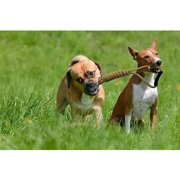 PAWPOURRI Cotton Tug Rope Toy for Adult Dogs, Puppies, Cats | Tough, Durable and Fun | Chewing Interactive Pet Toy (Handle Rope Toy)