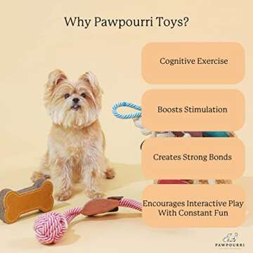 PAWPOURRI Cotton Tug Rope Toy for Adult Dogs, Puppies, Cats | Tough, Durable and Fun | Chewing Interactive Pet Toy (Handle Rope Toy)