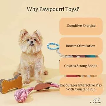 PAWPOURRI Cotton Tug Rope Toy for Adult Dogs, Puppies, Cats | Tough, Durable and Fun | Chewing Interactive Pet Toy (Handle Rope Toy)