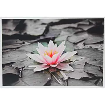 PPD Glossy Photo Paper for Inkjet Printer, 11 x 14" Premium Quality Printable Sheets for Custom Picture, Professional Photographic Instant Dry For with Normal, Dye or Pigment Ink (50 Pack/180 gsm)