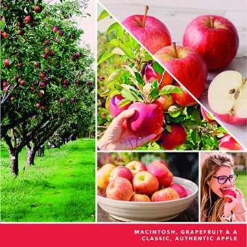 Yankee Candle White Strawberry Bellini 20oz Scented Candle