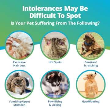 5Strands Pet Raw Food Intolerance & Environmental Sensitivity Test, at Home Test for Dogs & Cats, Hair Sample Collection Kit, All Ages and Breeds, Results in 5 Days
