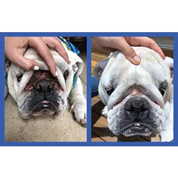 Squishface Wrinkle Wipes for Bulldogs Pugs Frenchies