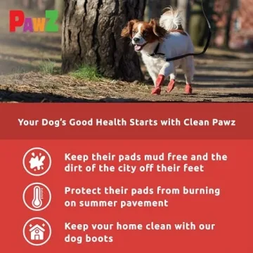 PawZ Rubber Dog Boots - All-Weather Protection for Small Dogs