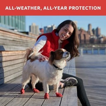 PawZ Rubber Dog Boots - All-Weather Protection for Small Dogs
