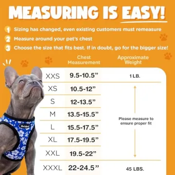 Bark Appeal Raspberry Plaid Step-in Dog Harness for Small to Medium Sized Pets – Updated Sizing, R...