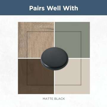 Franklin Brass Parow Cabinet Knob, Matte Black, 1-1/8 in (29mm) Dresser Drawer Pull, 10 Pack, P29542Z-FB-B