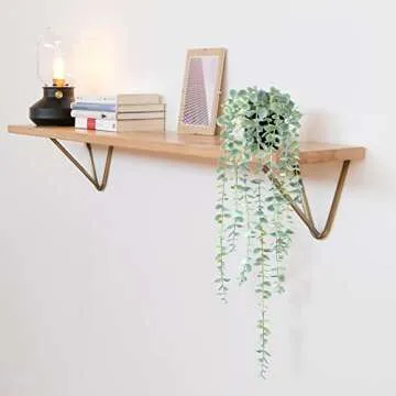 HOFMEFY Fake Hanging Plant Eucalyptus Artificial Faux Plants Indoor Small Wall Greenery Decor for Shelf with Black Pot Soft Green 1PCS 23Inch Long