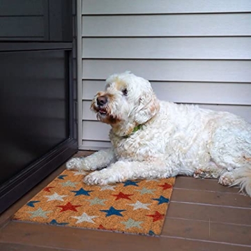 NINAMAR Patriotic Door Mat for USA Decor - High Quality Coir