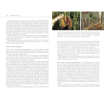 Edible Wild Plants Guide: Over 200 Edible Foods