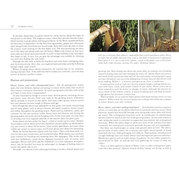 Edible Wild Plants Guide: Over 200 Edible Foods