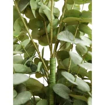 Clycaloor 2PCS Large Eucalyptus Trees - Lifelike Decor