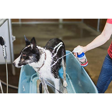 FoamCare Medicated Shampoo - Gentle for All Pets