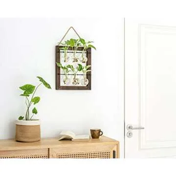 Mkono Wall Hanging Glass Planter for Hydroponics Plants