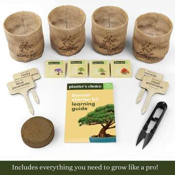Bonsai Starter Kit for Garden Crafts and DIY Enthusiasts
