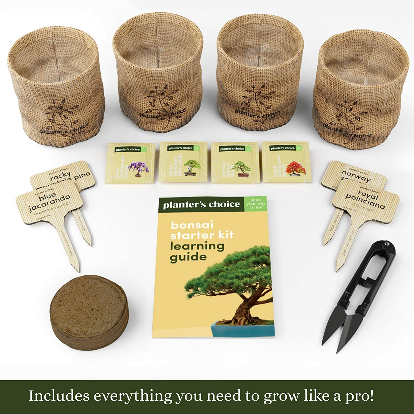 Bonsai Starter Kit for Garden Crafts and DIY Enthusiasts
