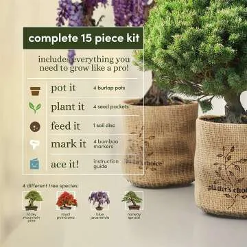 Bonsai Starter Kit for Garden Crafts and DIY Enthusiasts