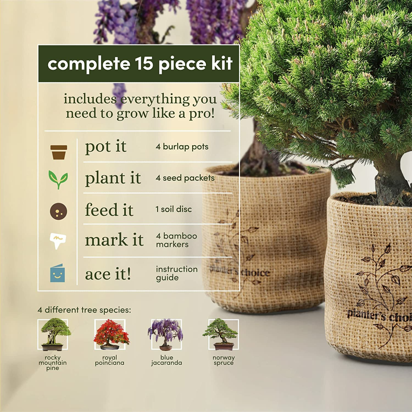 Bonsai Starter Kit for Garden Crafts and DIY Enthusiasts