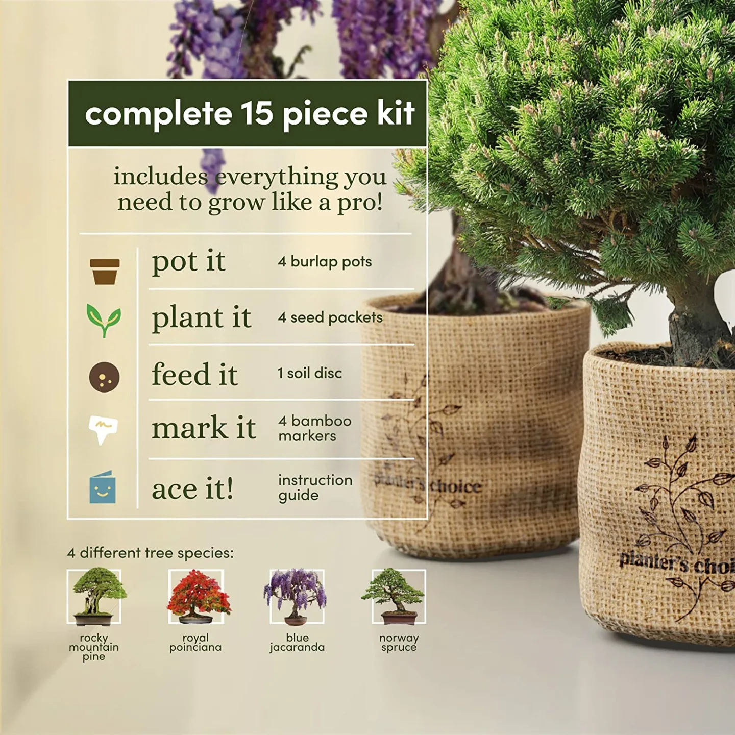 Bonsai Starter Kit for Garden Crafts and DIY Enthusiasts