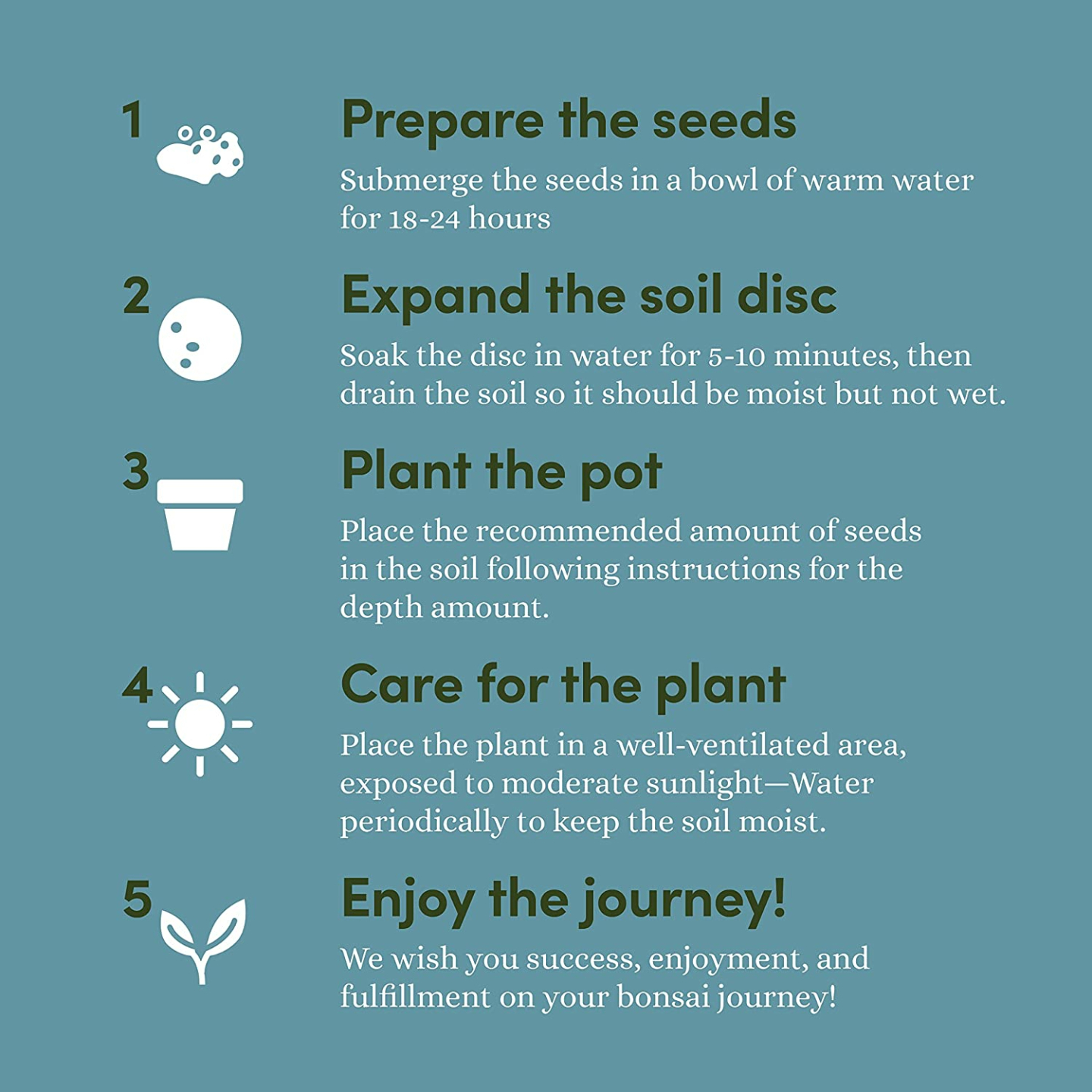 Bonsai Starter Kit for Garden Crafts and DIY Enthusiasts