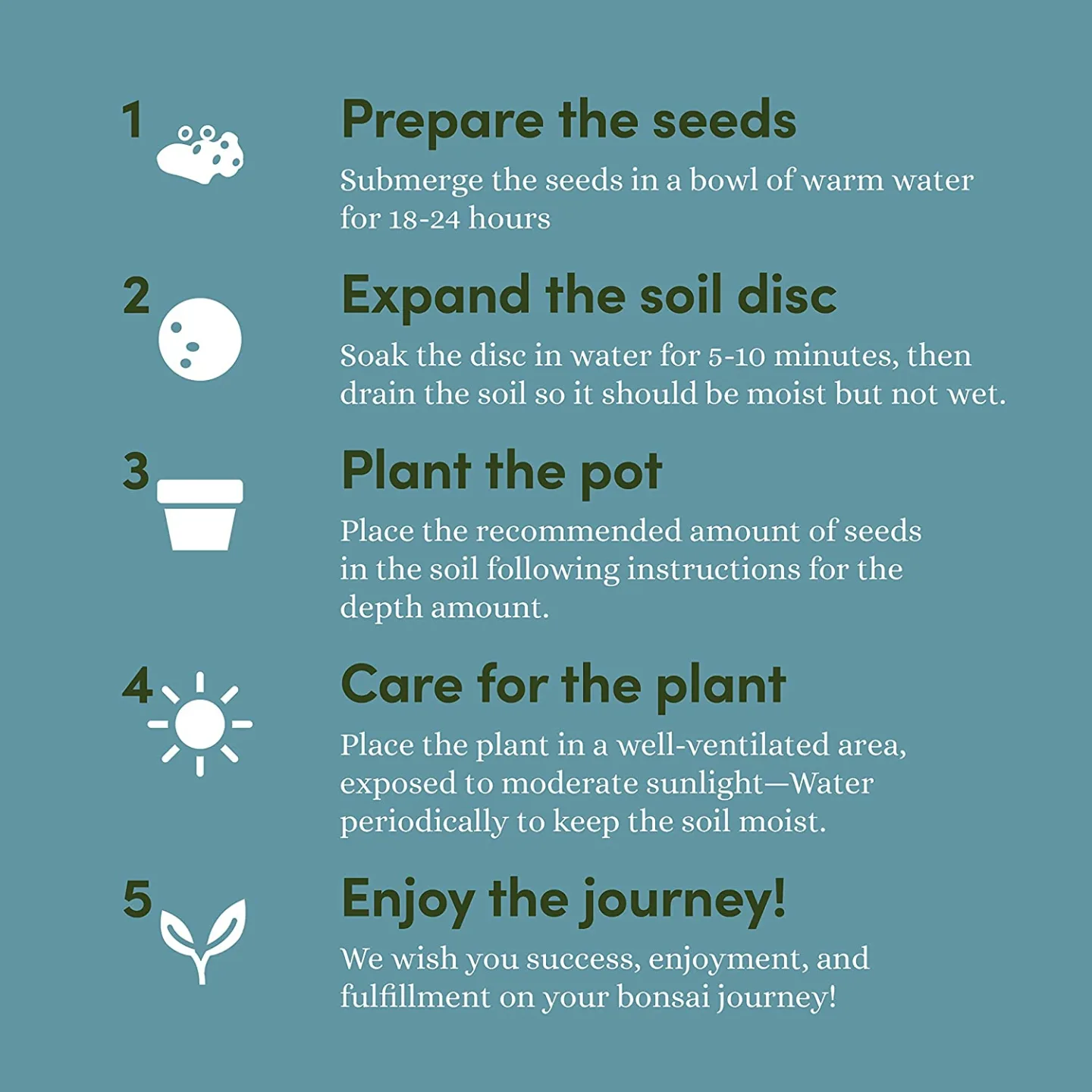 Bonsai Starter Kit for Garden Crafts and DIY Enthusiasts