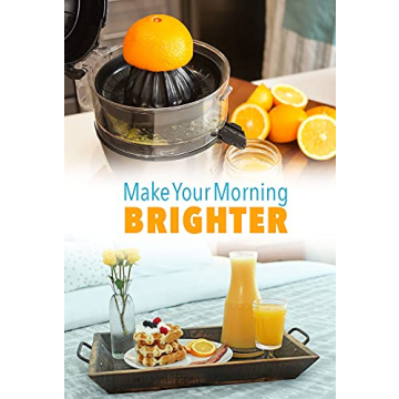 Vinci Hands-Free Citrus Juicer for Fresh Juice