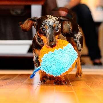 Chuckit! Indoor Fetch Shaker for Engaging Dog Play