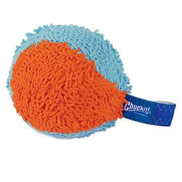 Chuckit! Indoor Fetch Shaker for Engaging Dog Play