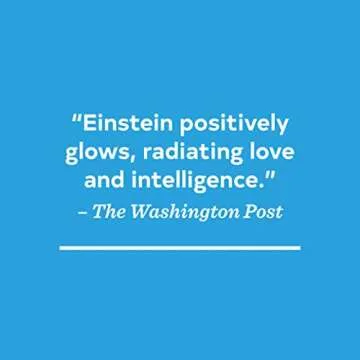 On a Beam of Light: A Story of Albert Einstein (Illustrated Biographies by Chronicle Books)