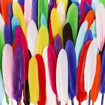Coceca Colorful Goose Feathers for DIY Crafts - 240pcs Set