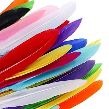 Coceca Colorful Goose Feathers for DIY Crafts - 240pcs Set