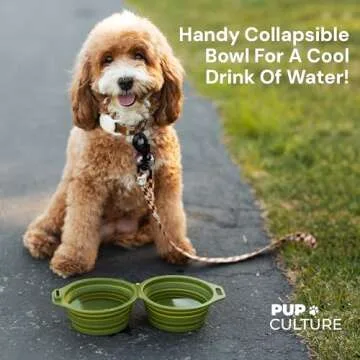 Pup Culture Dual Collapsible Dog Bowls | Silicone Travel Water Bowl for Dogs | Food Grade, No Plastic Rim, Portable Dog Bowl for Food and Water - Easy to Clean | BPA Free and Safe for Your Pup-Navy