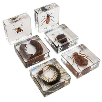 Insect Specimen Set, Bugs Collection Scientific Education Gift for Kids Aged 3-8-12 (Millipede, Cent...