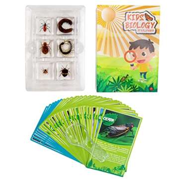Insect Specimen Set, Bugs Collection Scientific Education Gift for Kids Aged 3-8-12 (Millipede, Centipede, Dragonfly Larvae, Tea Seed Bug, Red Longhorn Beetle, Spiny Spider)